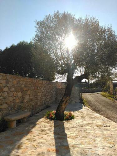 a tree in front of a stone wall with a bench at Casa da Figueirinha in Casais dos Monizes