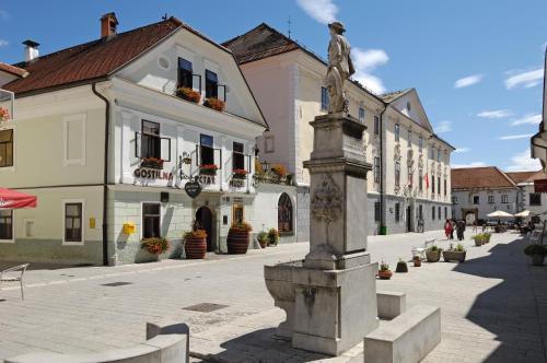 a statue in the middle of a street with buildings at Pension Lectar in Radovljica