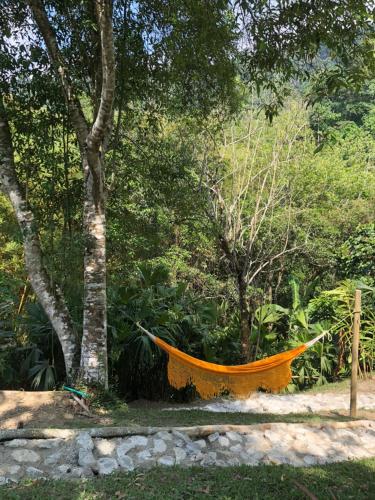 an orange hammock hanging from a tree in a forest at Reserva Natural Tierra Adentro in Minca