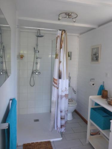 聖若瑟的住宿－La case o'gecko974，带淋浴和卫生间的浴室