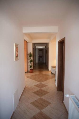 an empty hallway with a hallway leading into a room at Vila Boema in Marghita