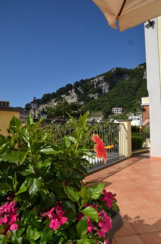 a red flower on a plant in front of a fence at Villa Maria in Amalfi