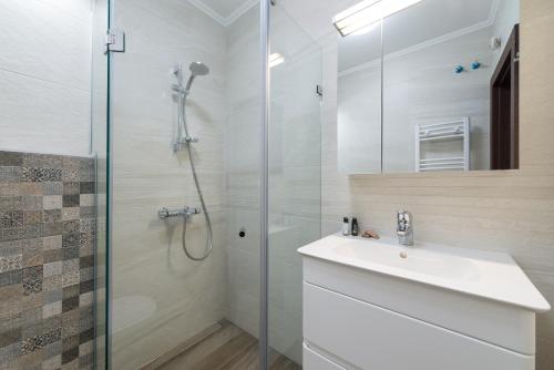 a bathroom with a shower and a sink and a mirror at Grand Vitosha Apartments in Sofia