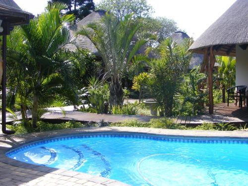
The swimming pool at or near Lodge Afrique
