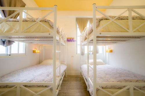 花蓮市的住宿－花蓮鳥窩青年旅舍，一间卧室设有两张双层床和一扇窗户。