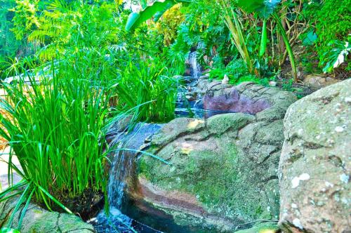 a waterfall on the rocks in a garden at Bali at Scenic Haven Lodge in Hartbeespoort in Hartbeespoort