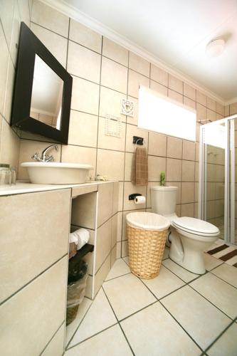 une salle de bains avec toilettes, lavabo et miroir dans l'établissement Nahoon Bed & Breakfast, à East London