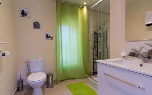 uma casa de banho com uma cortina de chuveiro verde e um WC. em Wisdom Gites em Adriers
