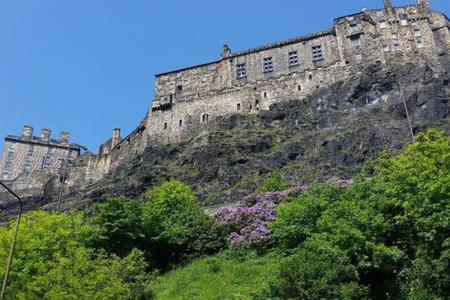 a castle on top of a hill with trees at The Wee Highland Coo in Edinburgh