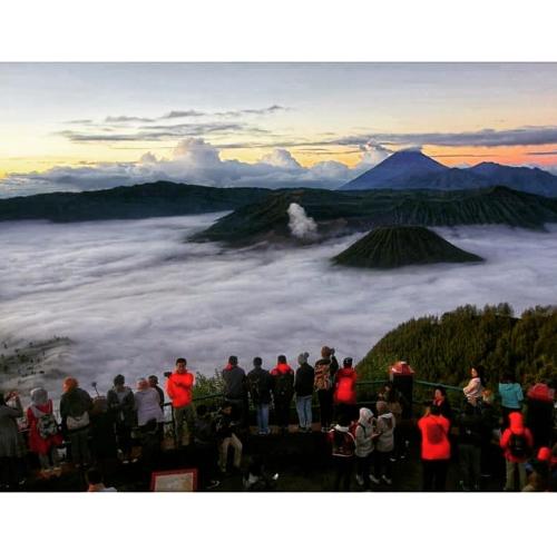a group of people standing on top of a mountain with clouds at Bromo Backpacker Tosari in Pasuruan