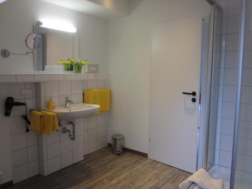 uma casa de banho com um lavatório, um espelho e um chuveiro em Hotel Wolfsschlucht em Baden-Baden
