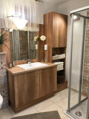 ein Bad mit einem Waschbecken und einer Dusche in der Unterkunft Apartment House 41 in Sopron