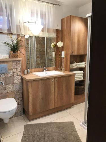 a bathroom with a sink and a toilet at Apartment House 41 in Sopron