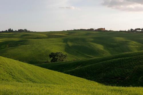 ferranesi – Photos 3