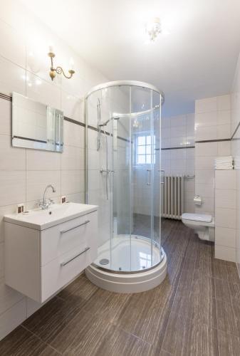 a bathroom with a shower and a sink and a toilet at Zamek Czocha in Leśna