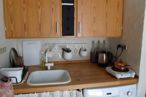 a kitchen with a sink and wooden cabinets at Natursti Silkeborg Bed & Breakfast in Them