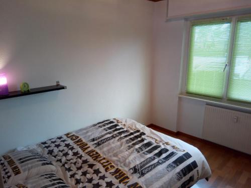 een slaapkamer met een bed in een kamer met 2 ramen bij Appartement 3 pièces in Saint-Louis