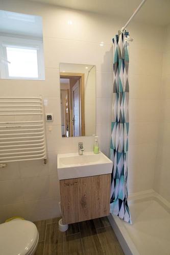 a bathroom with a sink and a toilet and a mirror at Agroturystyka Źródełko in Święta Katarzyna