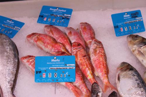 a bunch of fish on a table with signs at Bordeaux Village Blaye in Blaye
