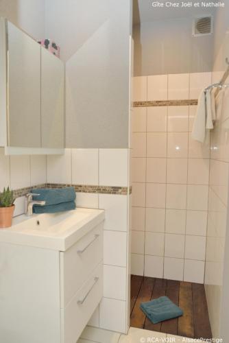 une salle de bain blanche avec un lavabo et une douche dans l'établissement Gite Joël et Nathalie, à Urschenheim