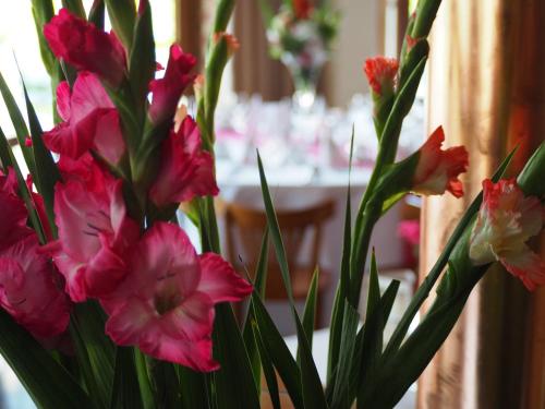 a bunch of pink flowers in a vase at Hotel Spichlerz Lubawa in Lubawa