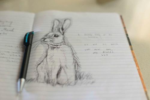 a drawing of a rabbit in a notebook with a pen at The Burrow Guest House in Tarxien