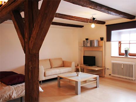 a living room with a couch and a coffee table at Apartment Regensburg in Regensburg