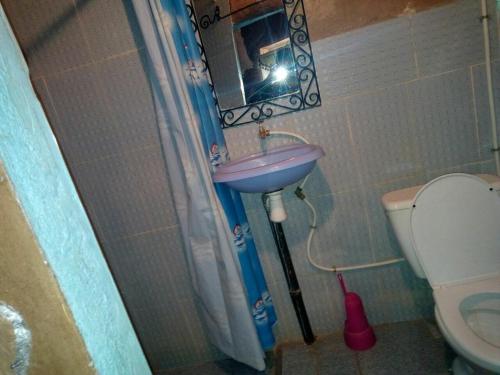 a bathroom with a sink and a toilet and a mirror at Auberge Amazigh in Tamtetoucht