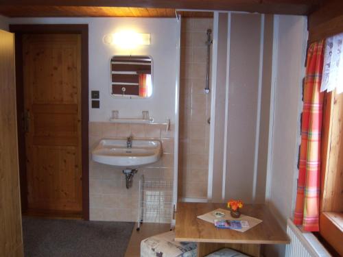 ein Badezimmer mit einem Waschbecken, einem Spiegel und einer Tür in der Unterkunft Pension Skalicky in Pec pod Sněžkou
