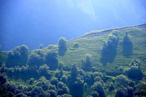 Gallery image of Agriturismo Valliera in Castelmagno