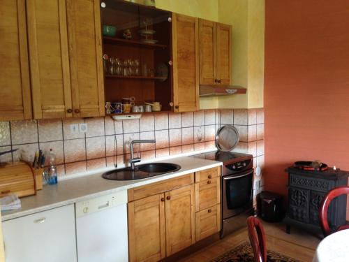 a kitchen with wooden cabinets and a sink and a stove at Apartments Kenedy in Kiseljak