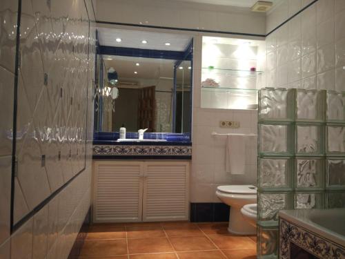 アンテケラにあるApartamento Alameda de Andalucía de Antequeraのバスルーム(トイレ、洗面台、鏡付)