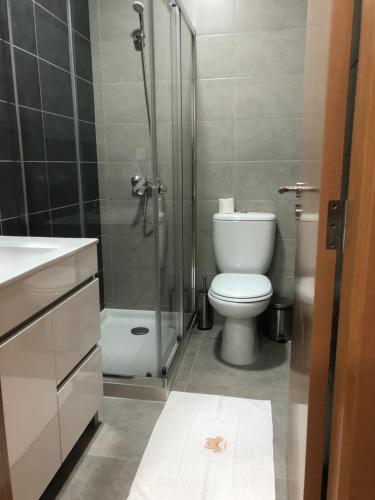 a bathroom with a shower and a toilet and a sink at Soldouro Guesthouse in Aveiro