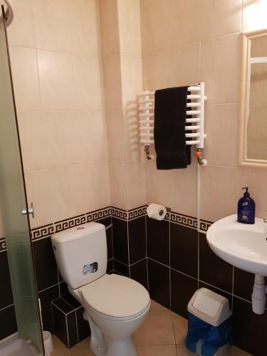 a bathroom with a toilet and a sink at Roadway in Kielce