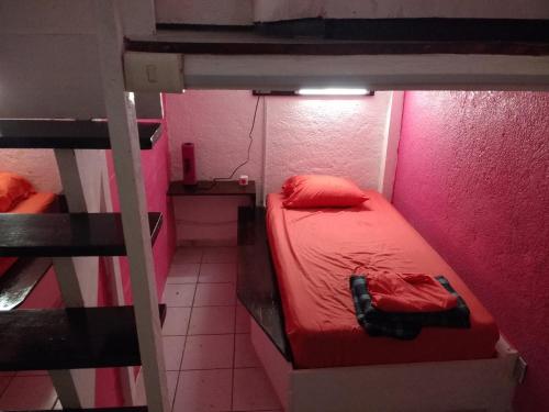 Ένα ή περισσότερα κρεβάτια σε δωμάτιο στο Iguana Hostel Oaxaca