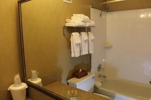 a bathroom with a toilet and a shower and a sink at 3 Rivers Hotel in Bozeman