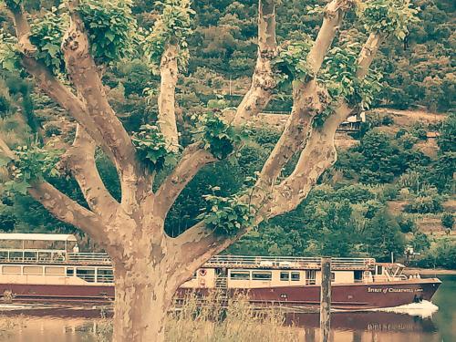 Φυσικό τοπίο κοντά σε αυτή η παραθεριστική κατοικία