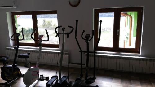 a room with a bunch of gym equipment in it at Pensiunea Lorena in Cozla