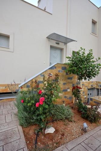 Κήπος έξω από το Edem Suites