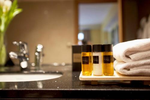  Hotel Ski Plaza & Wellness -  Room  picture :   Minibar    Bath    Safety deposit box                           
