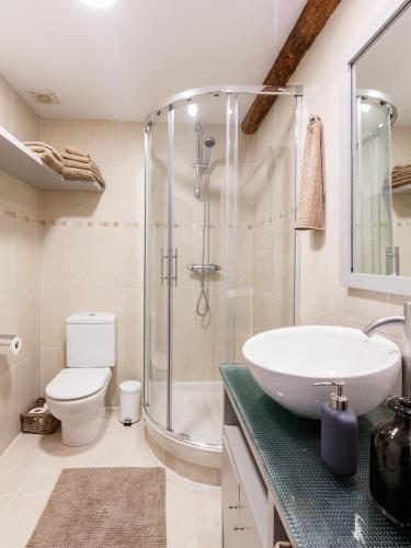a bathroom with a shower and a toilet and a sink at Apartamento Carlos V in Hondarribia
