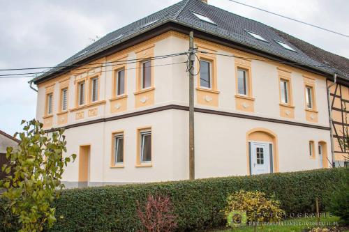 a large white building with a black roof at Pension Alex in Brahmenau