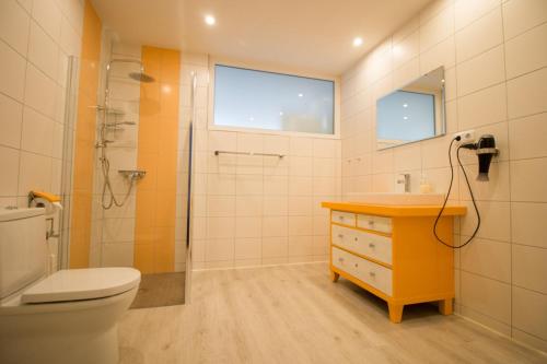 a bathroom with a toilet and a sink and a shower at Pension Alex in Brahmenau