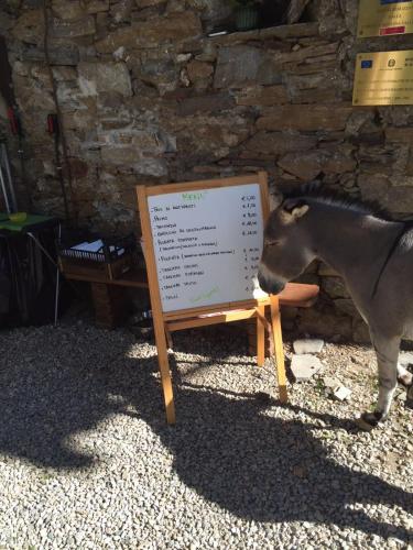 Gallery image of Agriturismo Valliera in Castelmagno