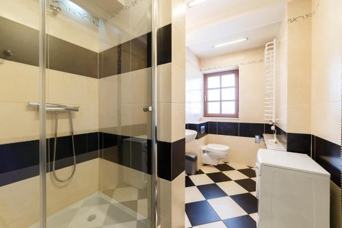 a bathroom with a toilet and a glass shower at Apartamenty-Plaza Zakopane in Zakopane