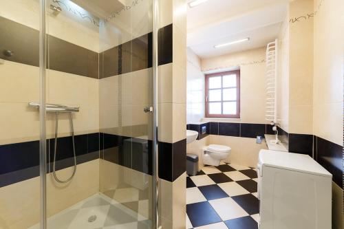 ザコパネにあるApartamenty-Plaza Zakopaneのバスルーム(トイレ、ガラス張りのシャワー付)