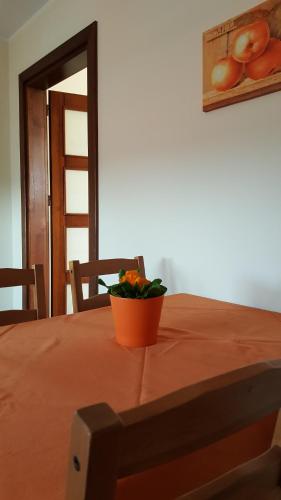 an orange pot on a table with a plant on it at Villa Sole in Pruszcz Gdański
