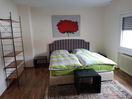 een slaapkamer met een bed en een boekenplank bij modern-comfort-inn 1 in Kreuzau