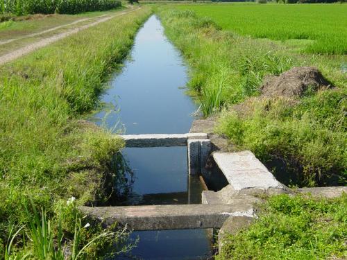 a channel in a field with water in it at Agriturismo Le Risaie in Basiglio