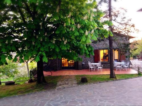 Albergo Ristorante Letiziaにある庭